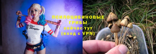 синтетический гашиш Переславль-Залесский