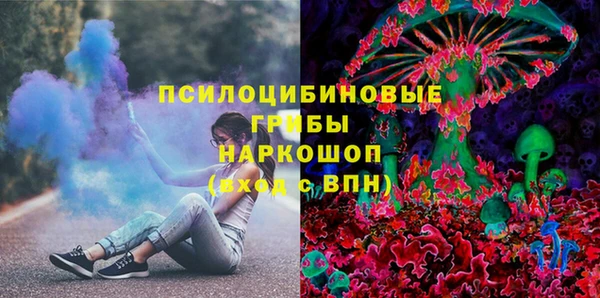 2c-b Пестово