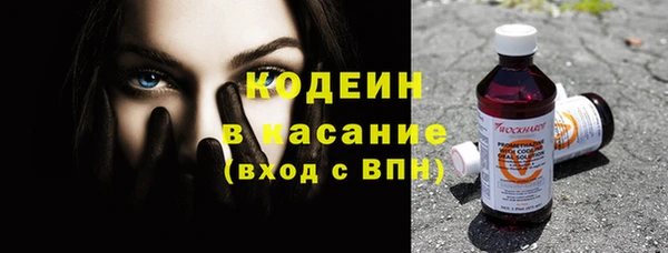 2c-b Пестово