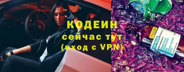 2c-b Пестово