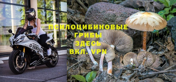 2c-b Пестово
