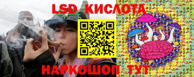 дмт Аргун
