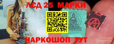 дмт Аргун