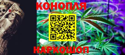 дмт Аргун