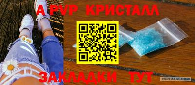 дмт Аргун