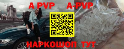 дмт Аргун