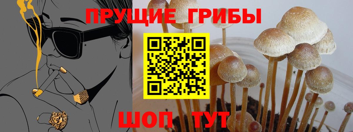 Асбест  Галлюциногенные грибы мицелий  как найти закладки  Вход с VPN 