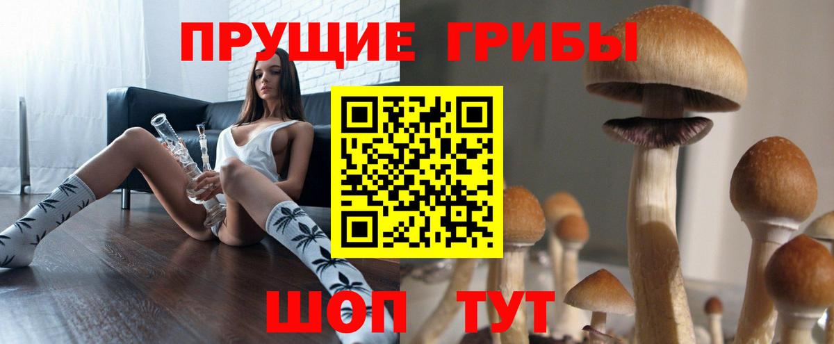 Псилоцибиновые грибы прущие грибы Асбест