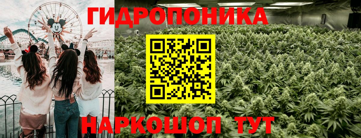 Канабис конопля  Асбест  Канабис White Widow  Каннабис планчик 